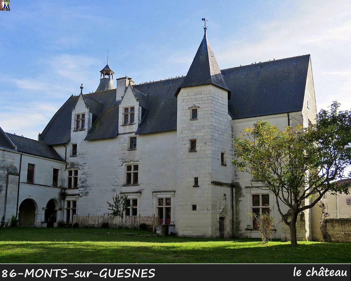 Domaine De Bourgville Monts-sur-Guesnes Buitenkant foto